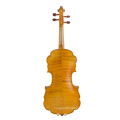 Jujube Parts Laciness Violin